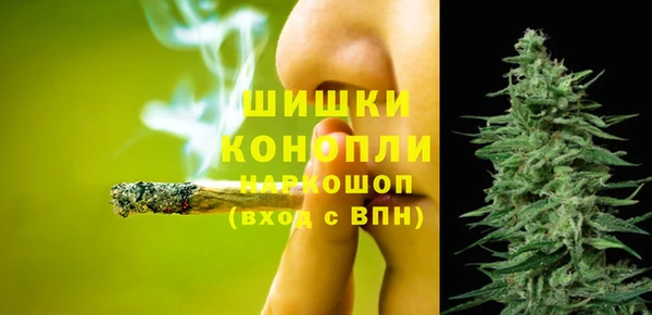 мет Новозыбков