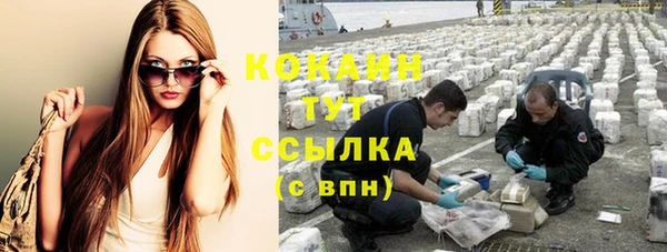мет Новозыбков